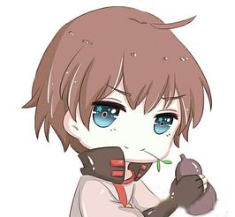 龙里县空调维修